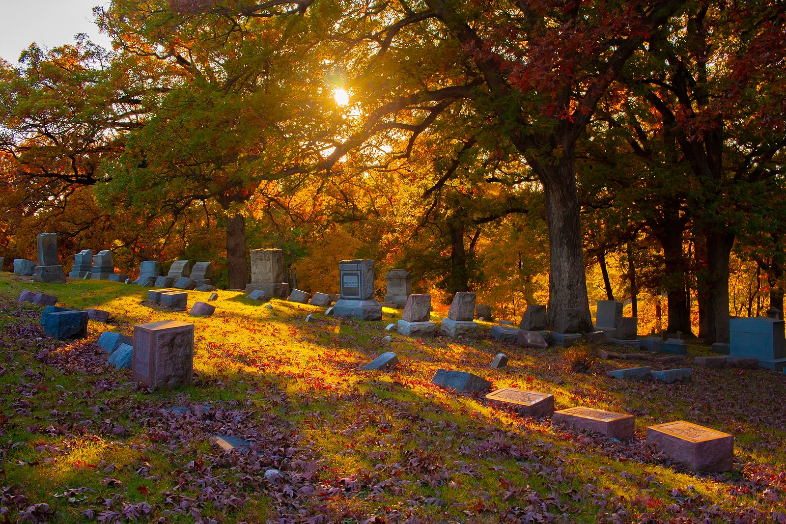 Image of a cemetery on Tegeler's website