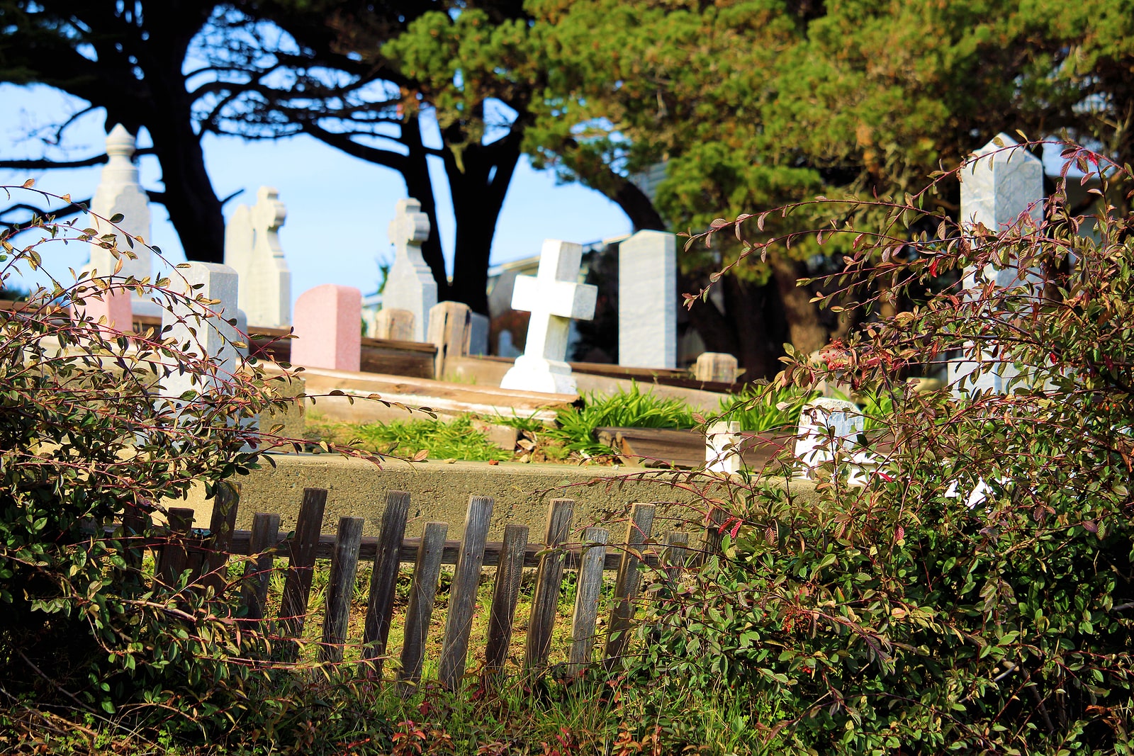 Image of a cemetery on Tegeler Monument's website