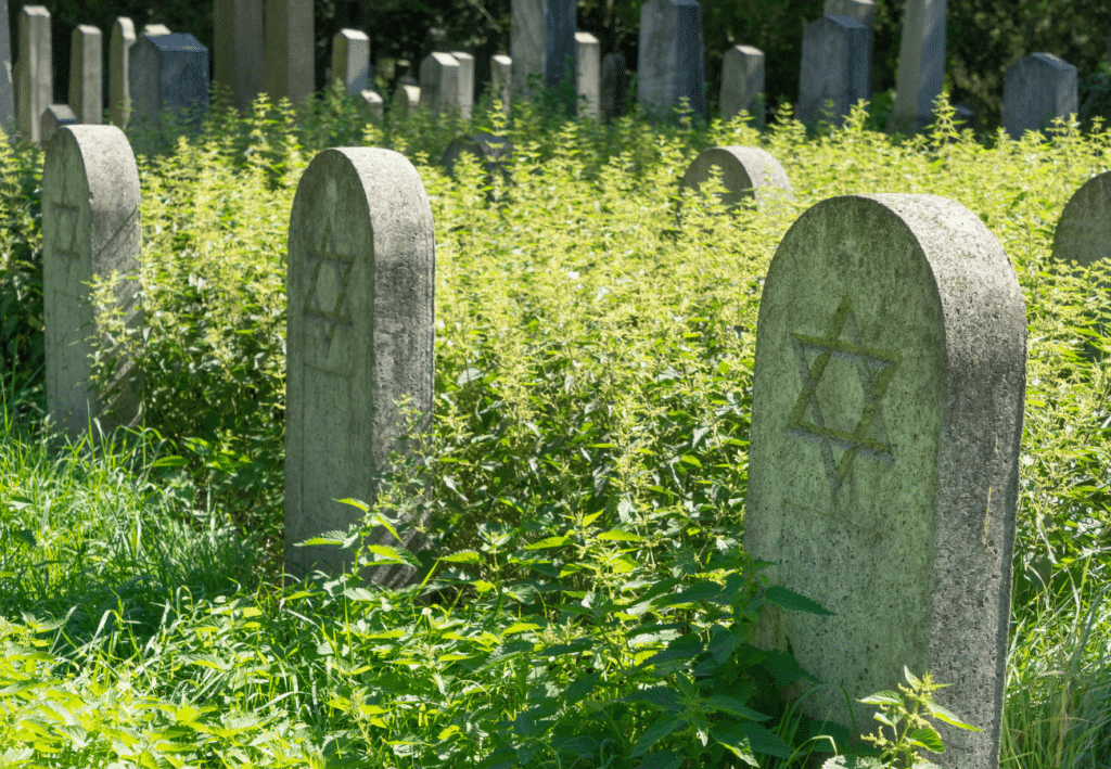 gravestones with a cemetery restriction 
