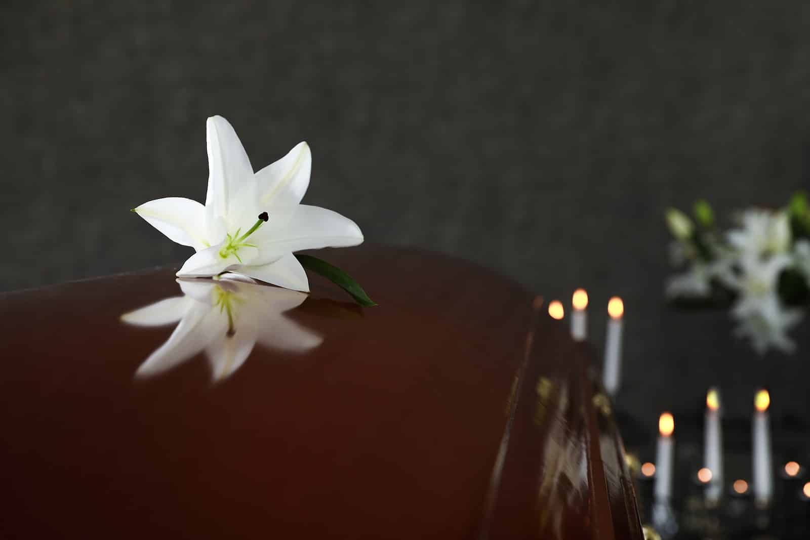 Image from inside inside a funeral home depicting a coffin with a white flower on it.