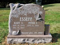 ESSEFF