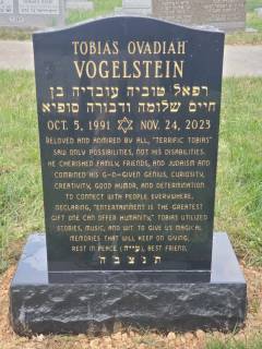 vogelstein